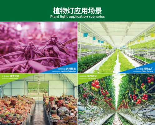 央视带货！ CCTV2报道YH533388银河LED植物生长灯“出类拔萃”
