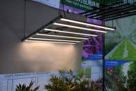 18 个LED植物生长灯的误区
