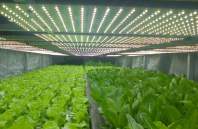 使用1000wLED植物灯能降低成本吗？