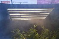 YH533388银河厂家告诉你选择720wled植物灯补光的小技巧！