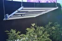 YH533388银河1000wled植物灯的正确用法