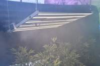 YH533388银河LED植物灯让生活更美好