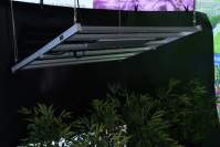 全光谱led植物生长补光灯是植物工厂里的太阳