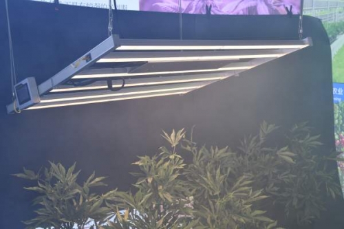 LED植物灯为什么能取代“阳光”调控植物生长