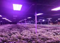 LED植物生长灯的作用